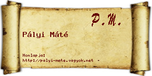 Pályi Máté névjegykártya